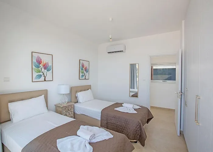 Olive Chrysos, Brand New, Luxury 3 Bdr Villa, With Private Pool Villa *