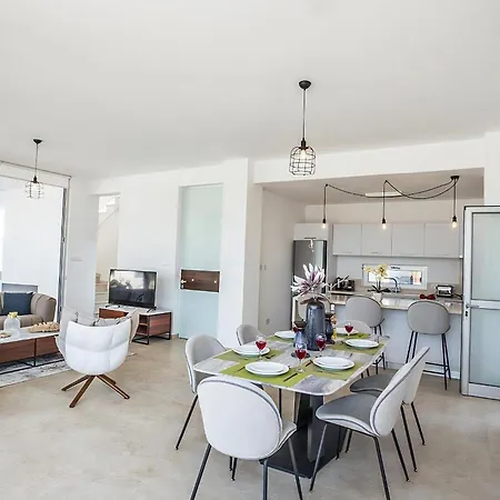 Olive Chrysos, Brand New, Luxury 3 Bdr Villa, With Private Pool Villa *
